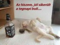 /album/fenykepgaleria/images-1-jpg/